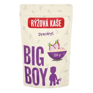 BIG BOY Rýžová kaše Dracarys exotické ovoce Eko varianta 350 g obraz