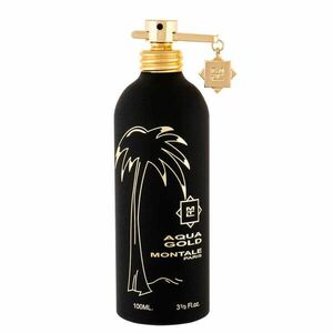 Montale Aqua Gold - EDP 100 ml obraz