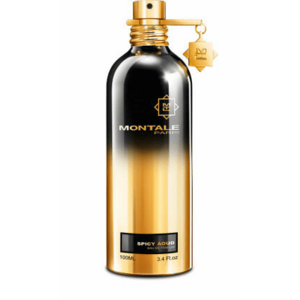 Montale Spicy Aoud - EDP 100 ml obraz