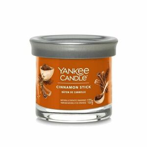 Yankee Candle Aromatická svíčka Signature tumbler malý Cinnamon Stick 122 g obraz