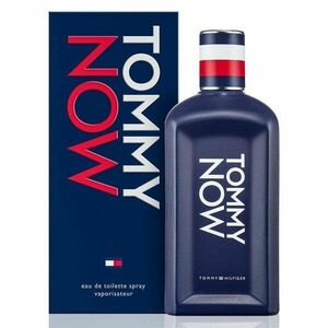 Tommy Hilfiger Tommy EdT 100 ml obraz