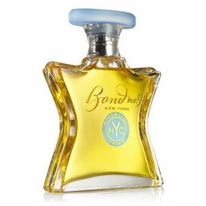 Bond No 9 Riverside Drive - EDP 100 ml obraz