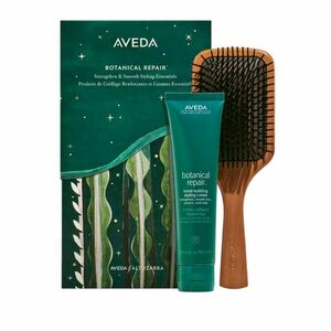 Aveda Dárková sada vlasové péče Botanical Repair Strengthen and Smooth Styling Essentiels obraz