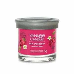 Yankee Candle Aromatická svíčka Signature tumbler malý Red Raspberry 122 g obraz