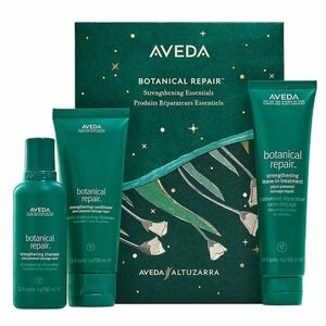 Aveda Dárková sada vlasové péče Botanical Repair obraz