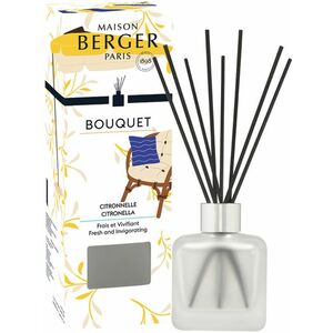 Maison Berger Paris Difuzér Ice Cube Bouquet Citronella 100 ml obraz