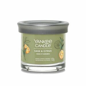 Yankee Candle Aromatická svíčka Signature tumbler malý Sage & Citrus 122 g obraz