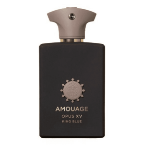 Amouage The Library Collection Opus XV - EDP 100 ml obraz