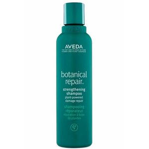 Aveda Posilující šampon Botanical Repair (Strenghtening Shampoo) 200 ml obraz