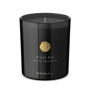 Rituals Vonná svíčka Wild Fig (Scented Candle) 360 g obraz