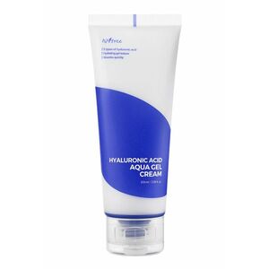 Isntree Hydratační gelový krém Hyaluronic Acid (Aqua Gel Cream) 100 ml obraz