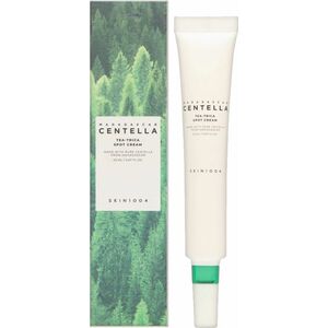 SKIN1004 Ošetřující krém na nedokonalosti pleti a skvrn Madagascar Centella (Tea-Trica Spot Cream) 20 ml obraz