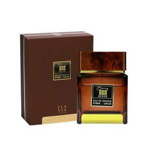 Flavia Burning Oud Desire - EDP 100 ml obraz