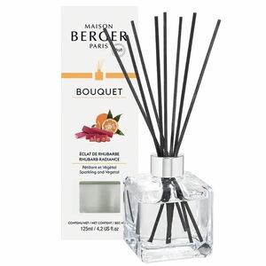 Maison Berger Paris Aroma difuzér Cube Zářivá rebarbora Rhubarb Radiance 125 ml obraz