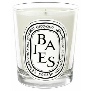 Diptyque Baies - svíčka 190 g obraz