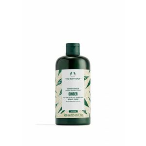 The Body Shop Kondicionér proti lupům Ginger (Conditioner) 250 ml obraz