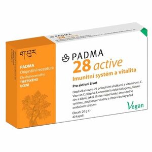 PADMA 28 Active Imunita a cévy s vitamínem C 40 kapslí obraz