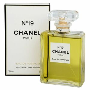 Chanel No.19 100 ml obraz