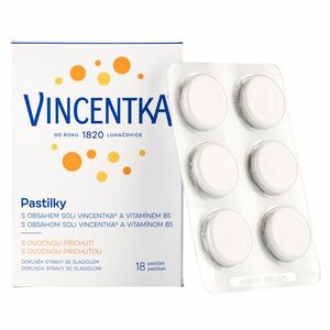 VINCENTKA Pastilky ovocné 18 pastilek obraz