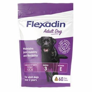 FLEXADIN Adult dog 60 žvýkacích tablet obraz