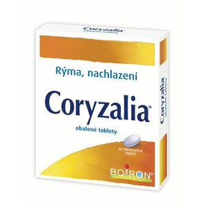 Boiron Coryzalia 40 tablet obraz