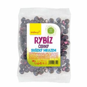 Wolfberry Černý rybíz sušené plody 20 g obraz