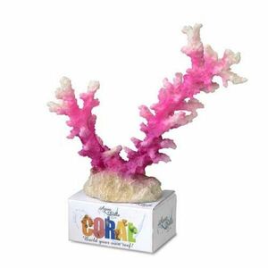 Ebi AQUA DELLA CORAL MODULE L staghorn coral pink-white 19, 5x13, 5x6cm obraz