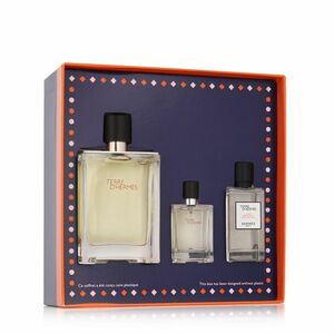 Hermès Terre D' EDT 100 ml + EDT 12, 5 ml + AS 40 ml M (Cover with Horse) obraz