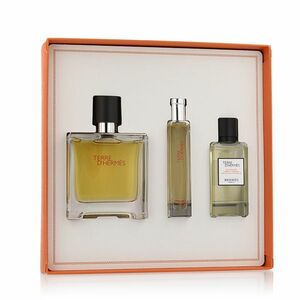 Hermès Terre D' EDT 100 ml + EDT 15 ml + SG na tělo i vlasy 40 ml M obraz