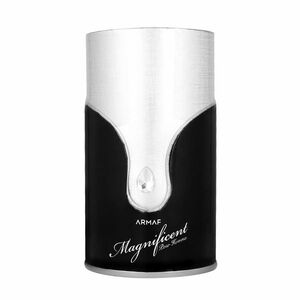 Armaf Magnificent Pour Homme EDP 100 ml M obraz