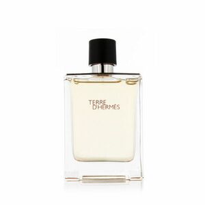 Hermès Terre D' EDT 100 ml M (Nový obal) obraz