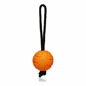 Explorer dog AirBall na provaze Oranžový 6, 5 cm obraz