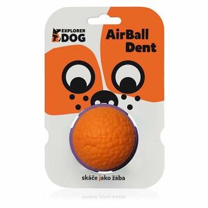 Explorer dog AirBall Dent 6 cm obraz