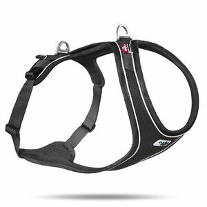 Curli Postroj pro psy Belka Comfort Black XS, 15-20 kg obraz