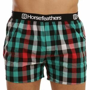 Horsefeathers Pánské trenky Clay alhambra (AM068N) XL obraz