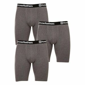 Horsefeathers 3PACK pánské boxerky Dynasty long (AM195B) M obraz