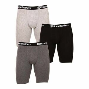 Horsefeathers 3PACK pánské boxerky Dynasty long (AM195D) XXL obraz