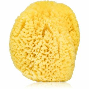 Agnotis Natural sponge dětská mycí houba 1 ks obraz