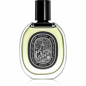 Diptyque Eau Capitale parfémovaná voda unisex 75 ml obraz