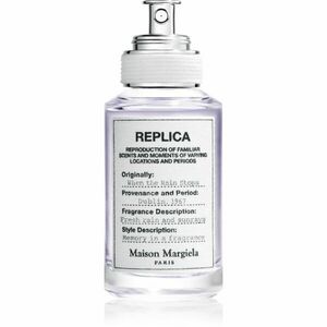 Maison Margiela REPLICA When the Rain Stops toaletní voda unisex 30 ml obraz