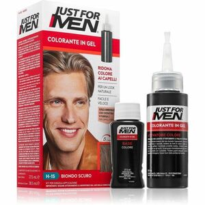 Just for Men Color Kit tónovací barva na vlasy pro muže H-15 Dark Blond / Lightest Brown 1 ks obraz