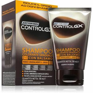 Just for Men Control GX Shampoo šampon a kondicionér pro šedivé vlasy pro muže 118 ml obraz