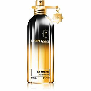 Montale So Amber parfémovaná voda unisex 100 ml obraz