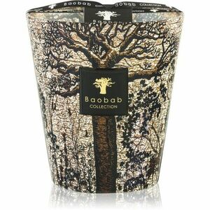 Baobab Collection Sacred Trees Morondo vonná svíčka 16 cm obraz