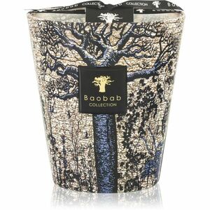 Baobab Collection Sacred Trees Seguela vonná svíčka 16 cm obraz