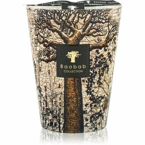 Baobab Collection Sacred Trees Morondo vonná svíčka 24 cm obraz