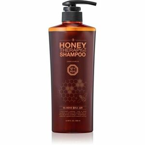 DAENG GI MEO RI Honey Therapy Professional Plus Shampoo regenerační šampon pro slabé a poškozené vlasy 500 ml obraz