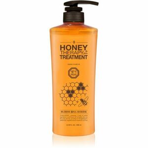 DAENG GI MEO RI Honey Therapy Professional Plus Treatment intenzivně regenerační kondicionér 500 ml obraz