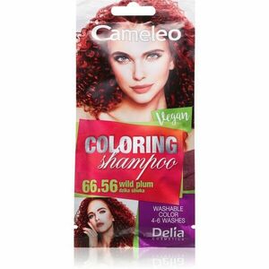 Delia Cosmetics Cameleo Coloring Shampoo tónovací šampon na vlasy odstín 66.56 Wild Plum 40 ml obraz