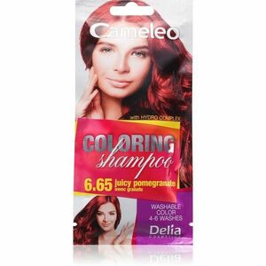 Delia Cosmetics Cameleo Coloring Shampoo tónovací šampon na vlasy odstín 6.65 Juicy Pomegranate 40 ml obraz